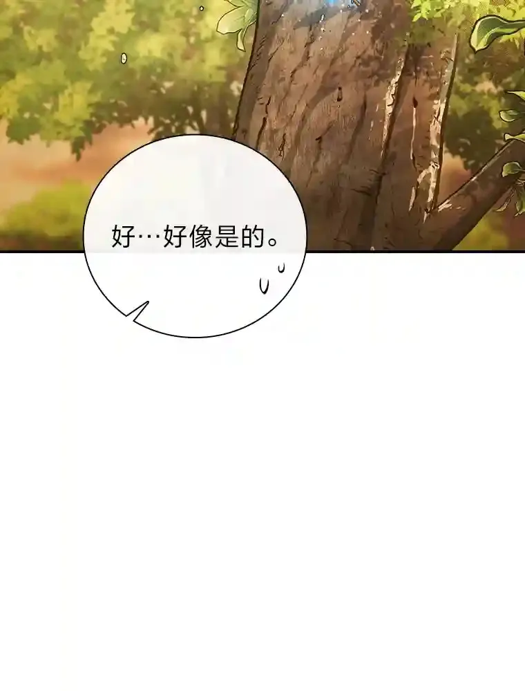 13.看走眼11