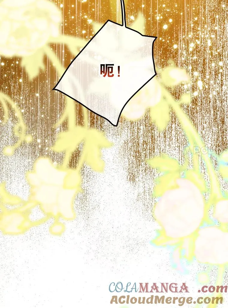 1.美丽的妈妈116