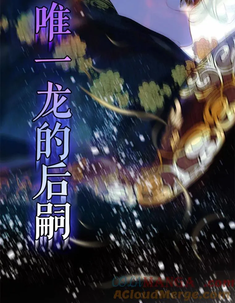 人物介绍24