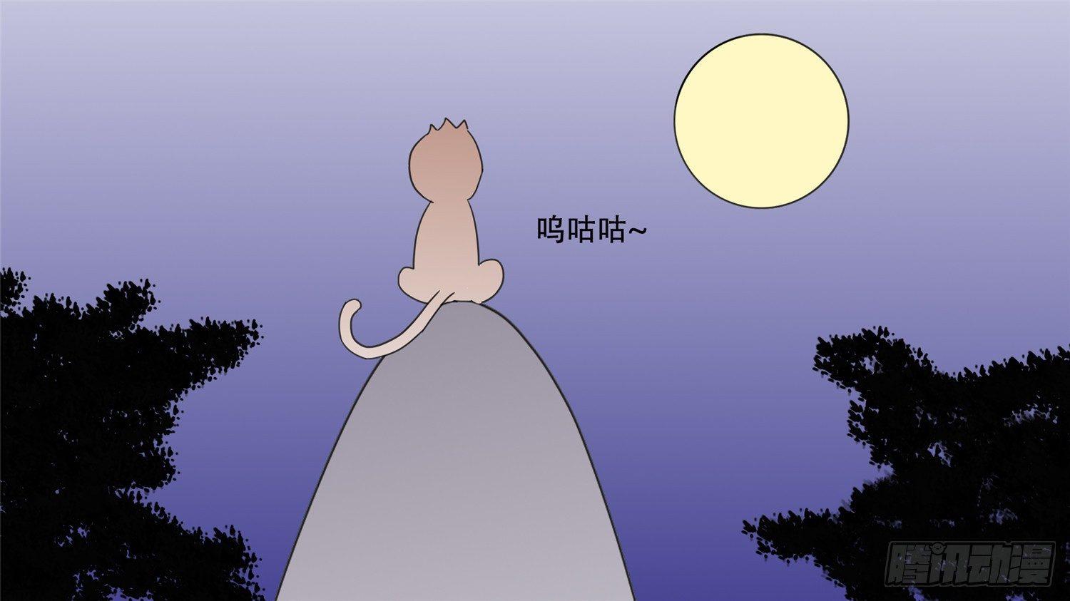 番外 元旦特别篇14