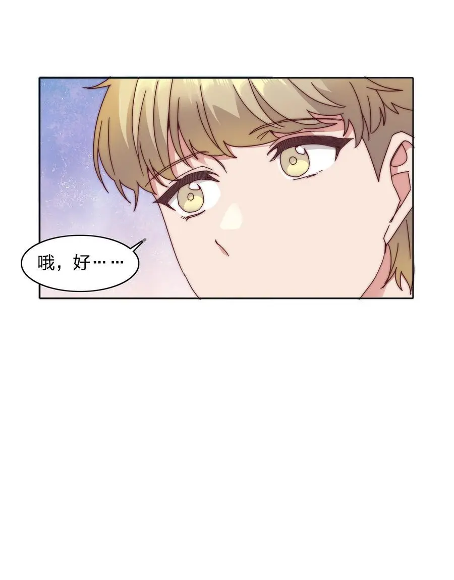 067 宠物20