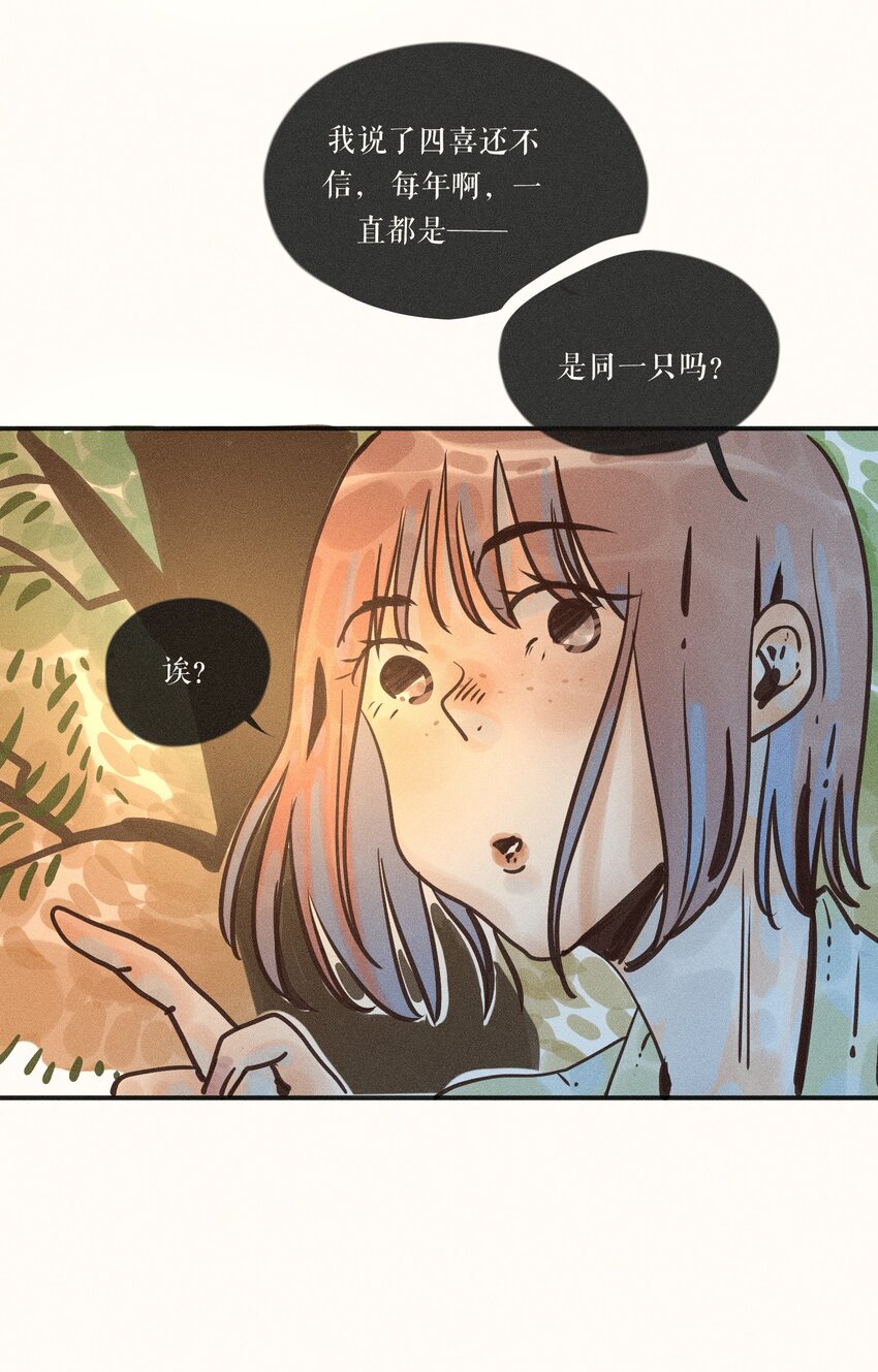 17 第十七话27