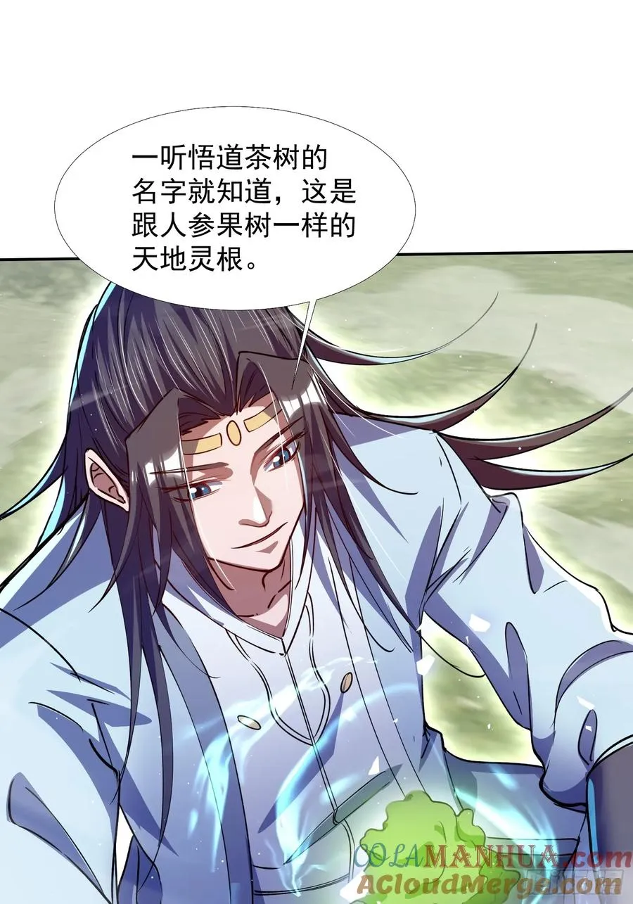 大能转世15