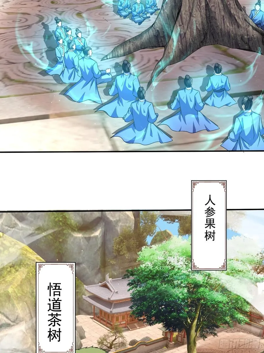 大能转世46