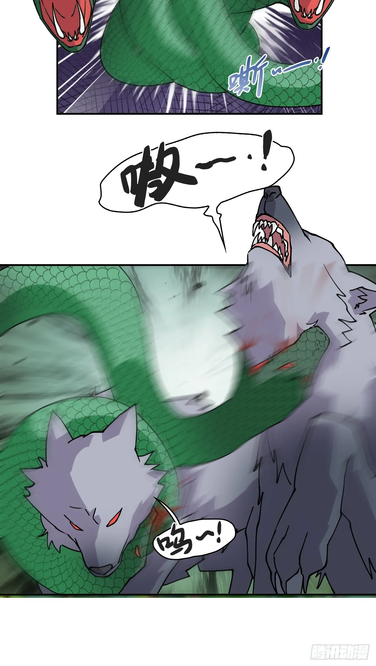 8白狼王6