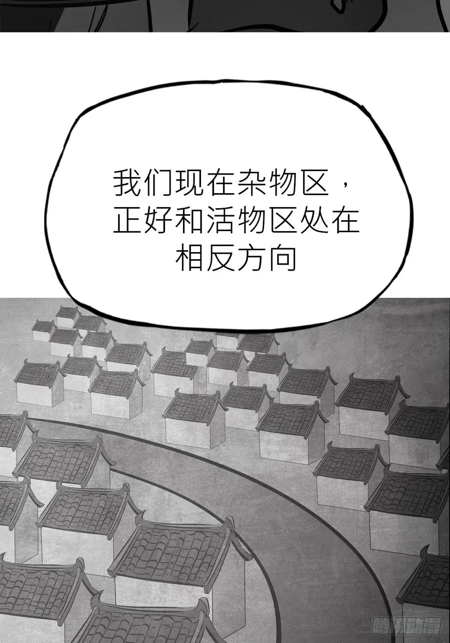 试探40