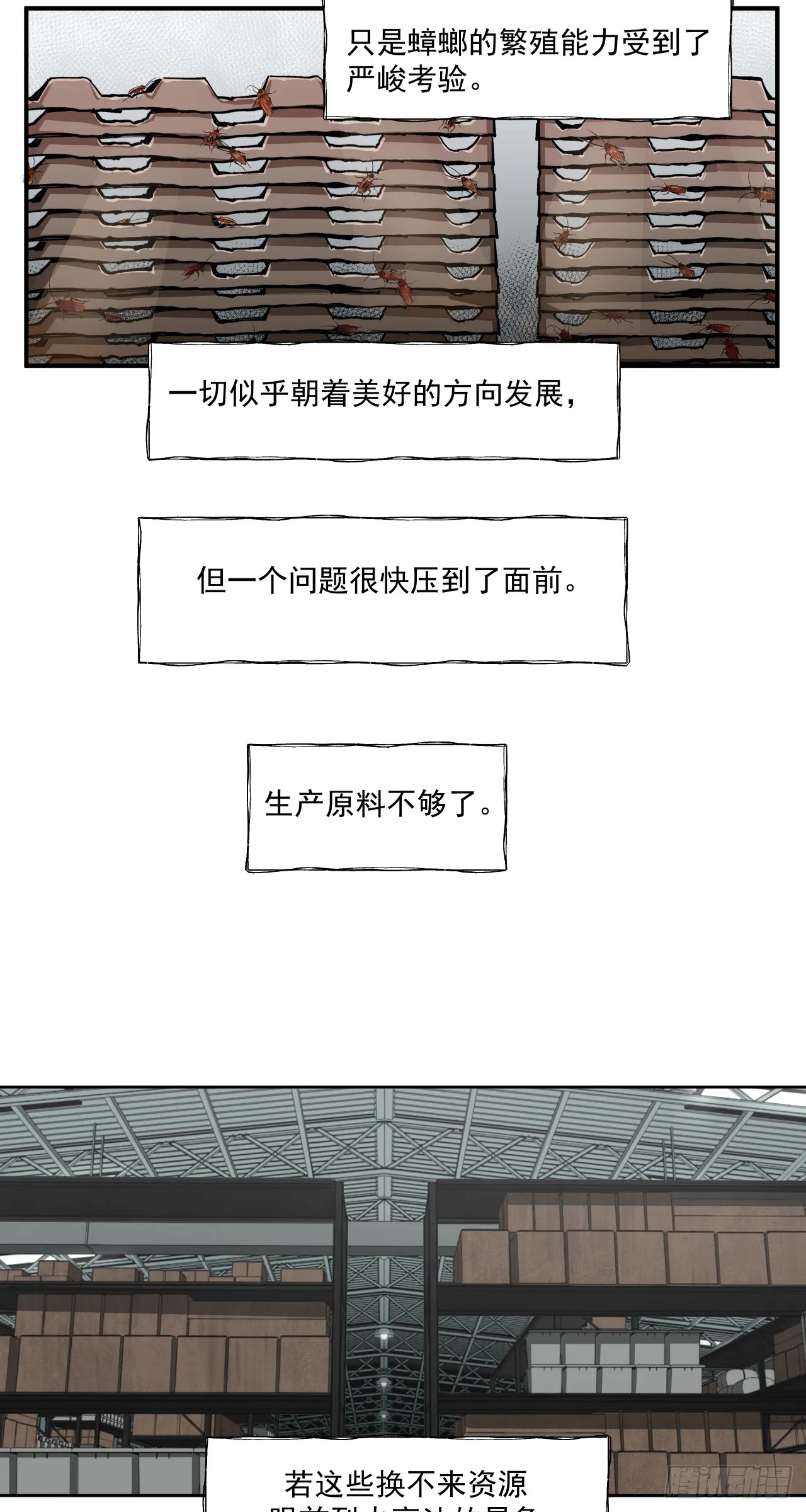 鸟人（下）6