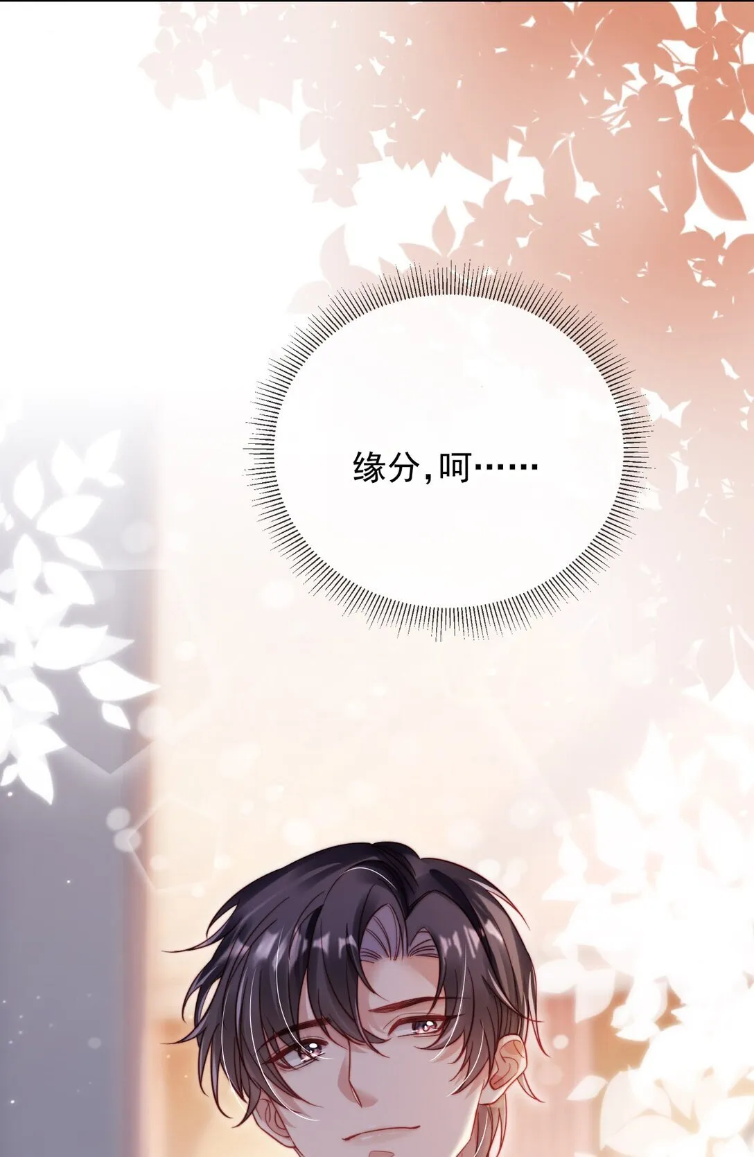 005 让我来吧4
