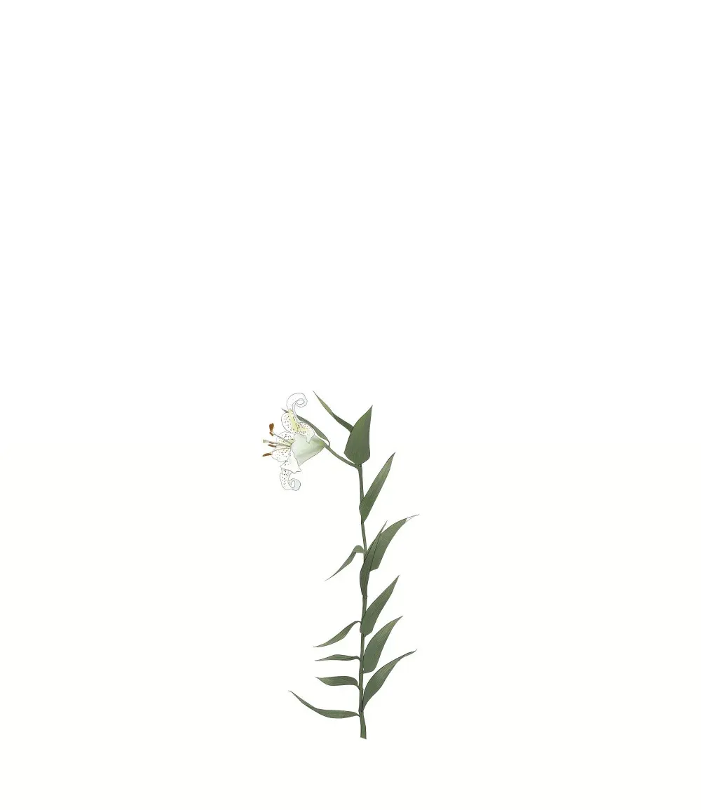 005 调戏42