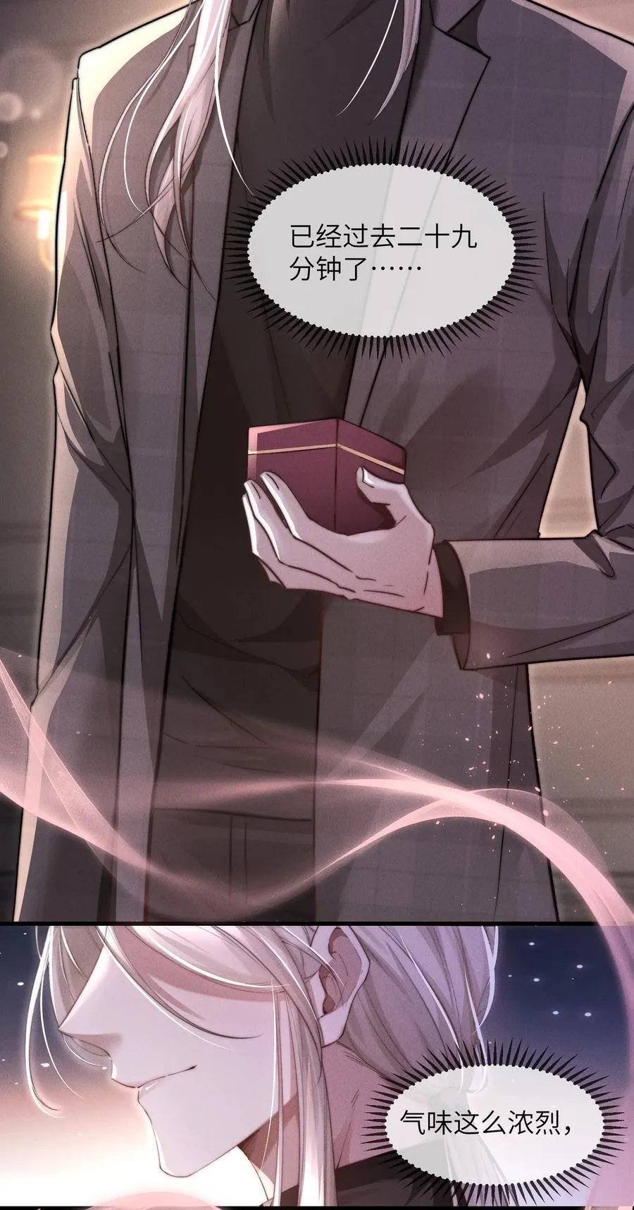 12 不可描述的礼物26