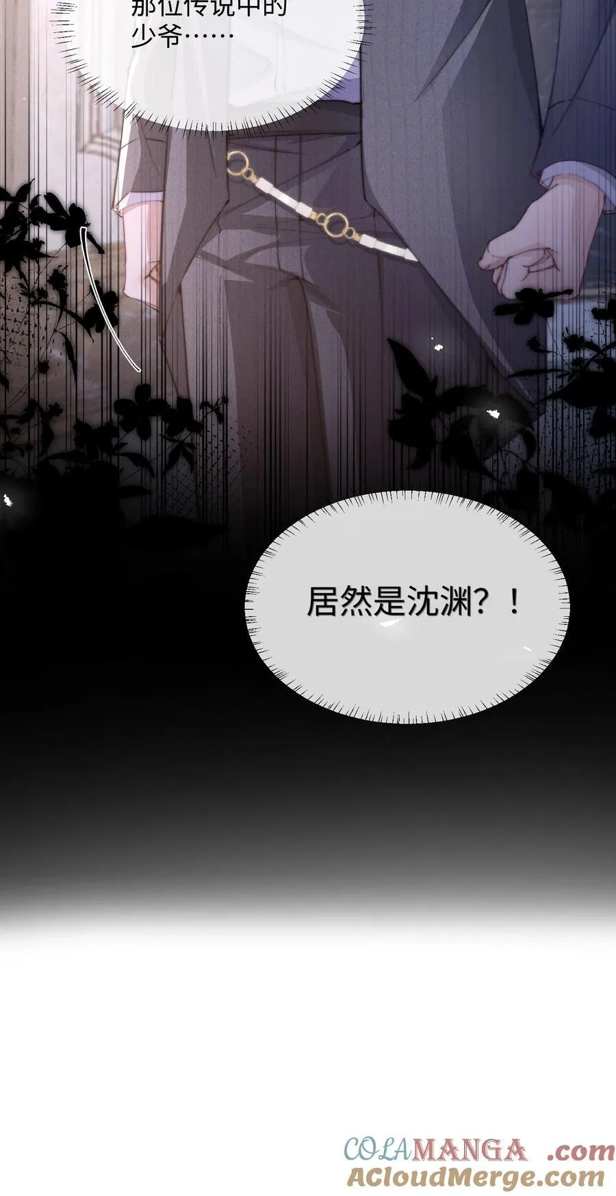 17 他就是那位少爷？！48