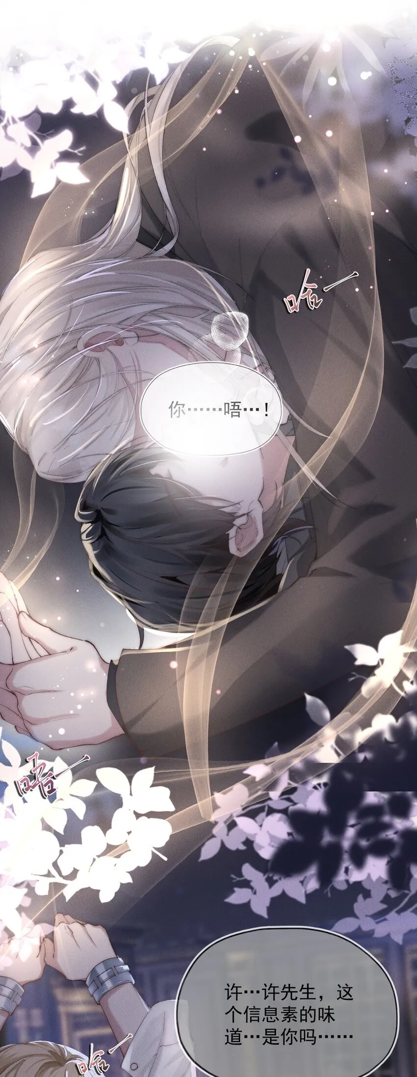 01 分化期31