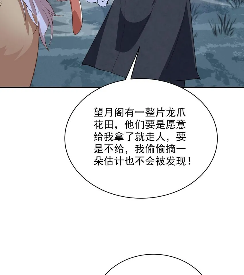 13 烦请二师兄正式出关63