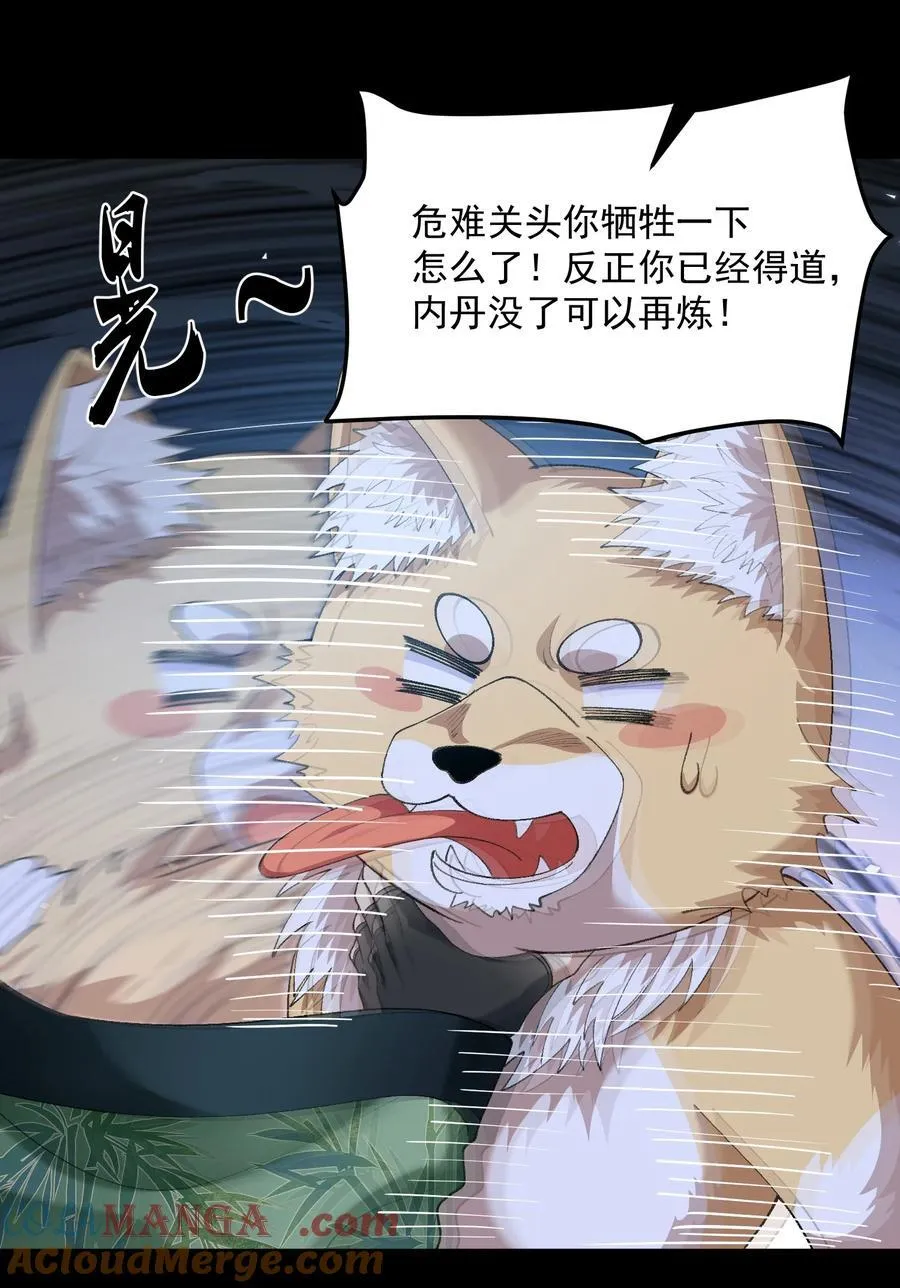 45 相亲相爱起风谷21