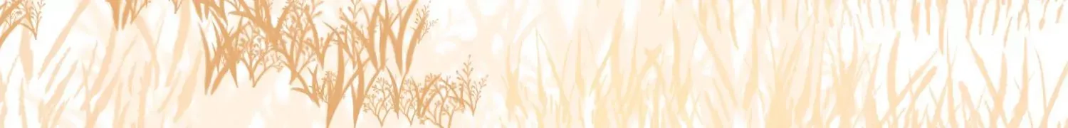 第41话上   实现心愿！69