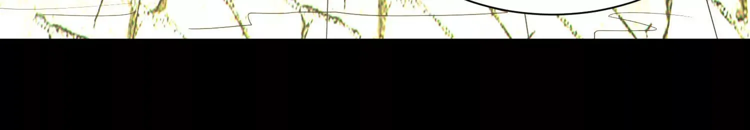 44话下（一）选择44