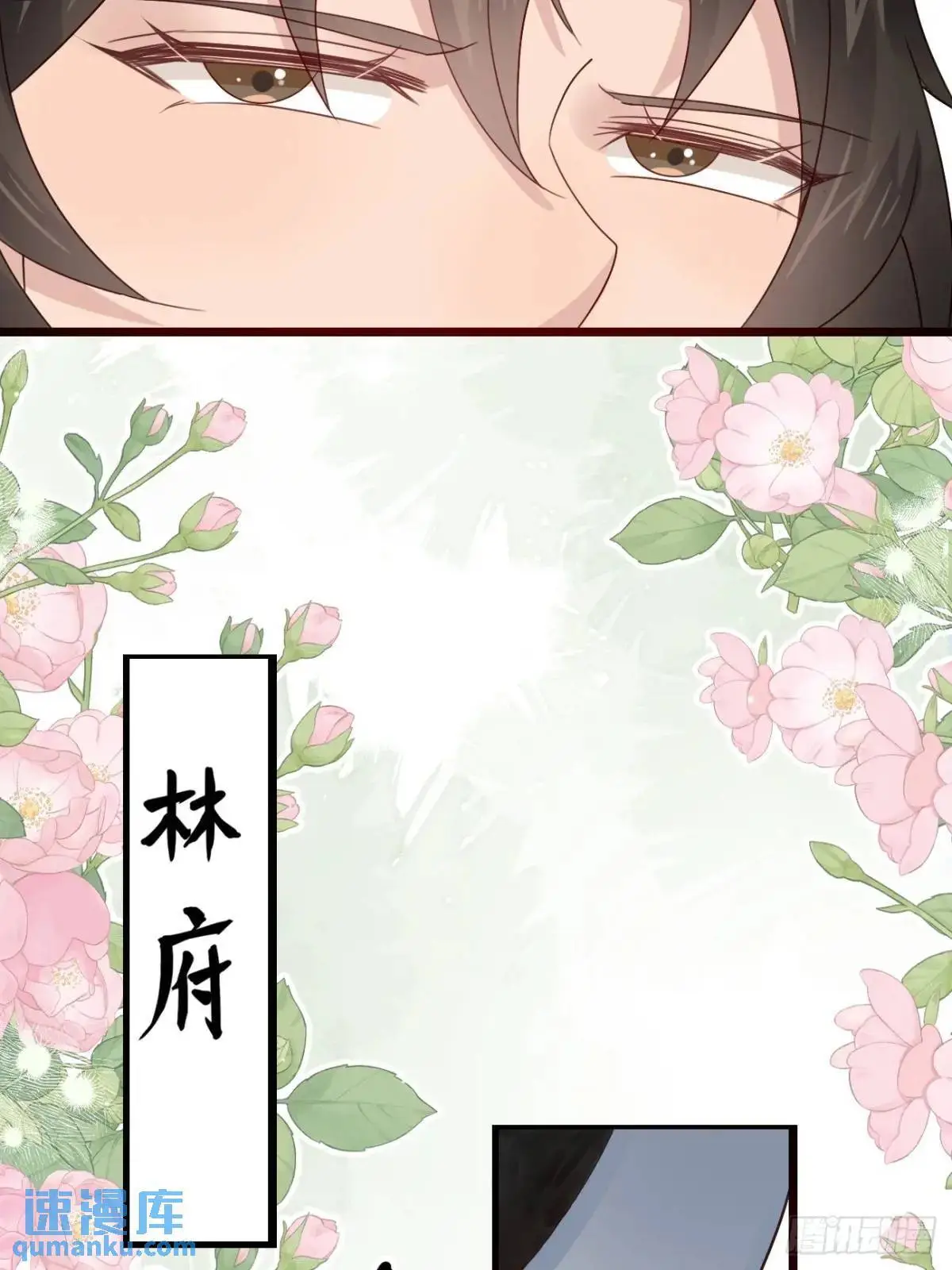 063 再见？海棠8