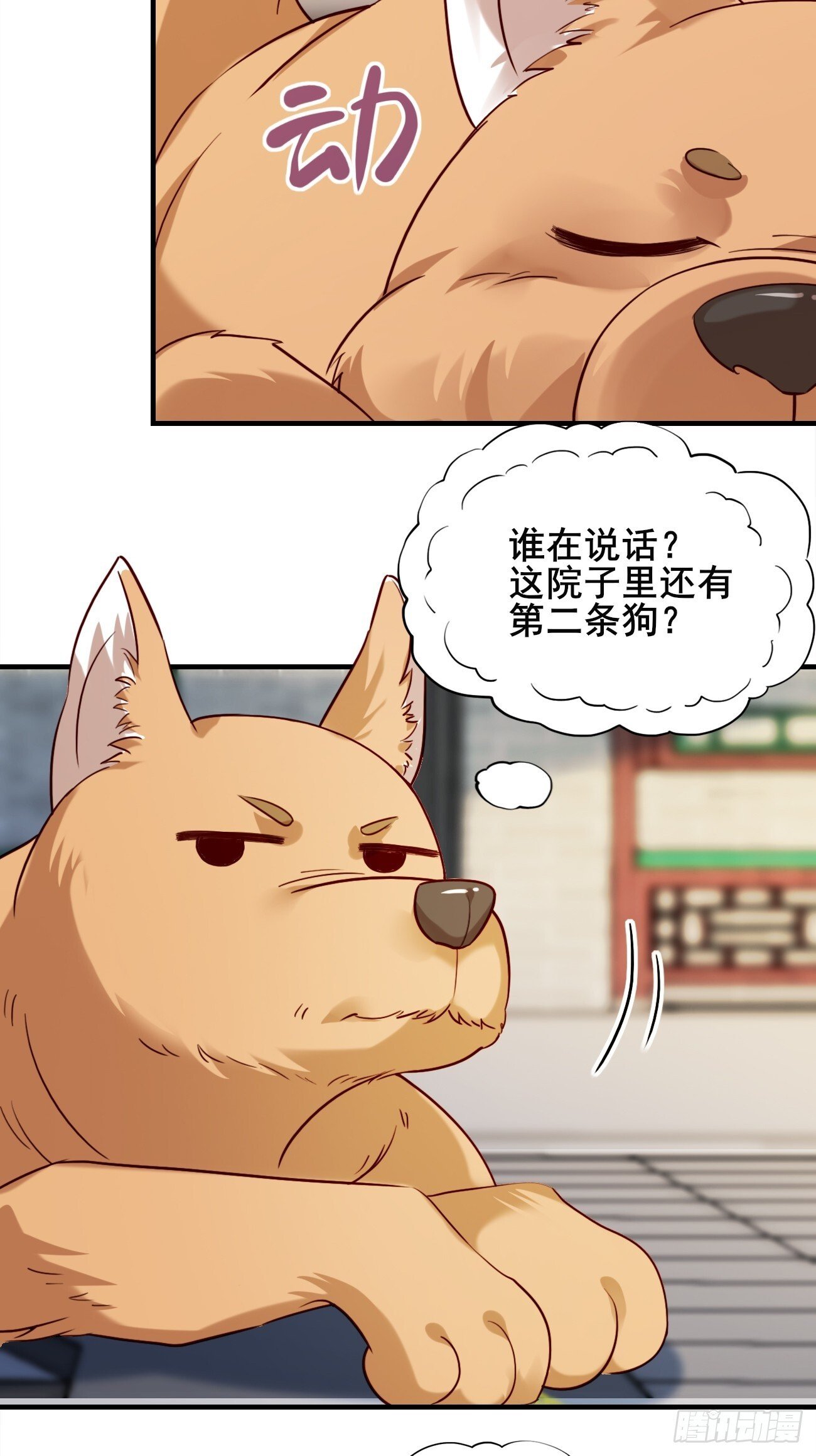 029 实力才是王道33