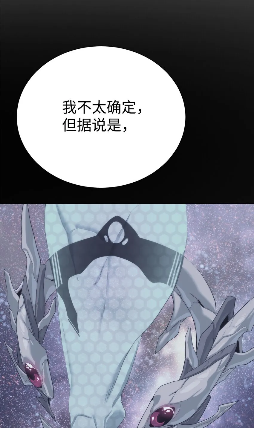 66 提出条件65