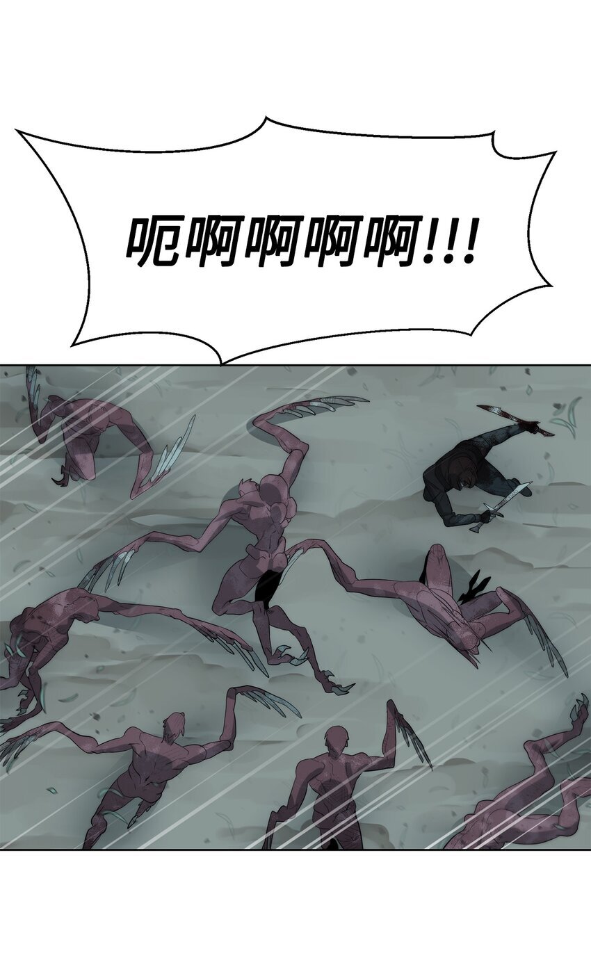 14 大杀四方13