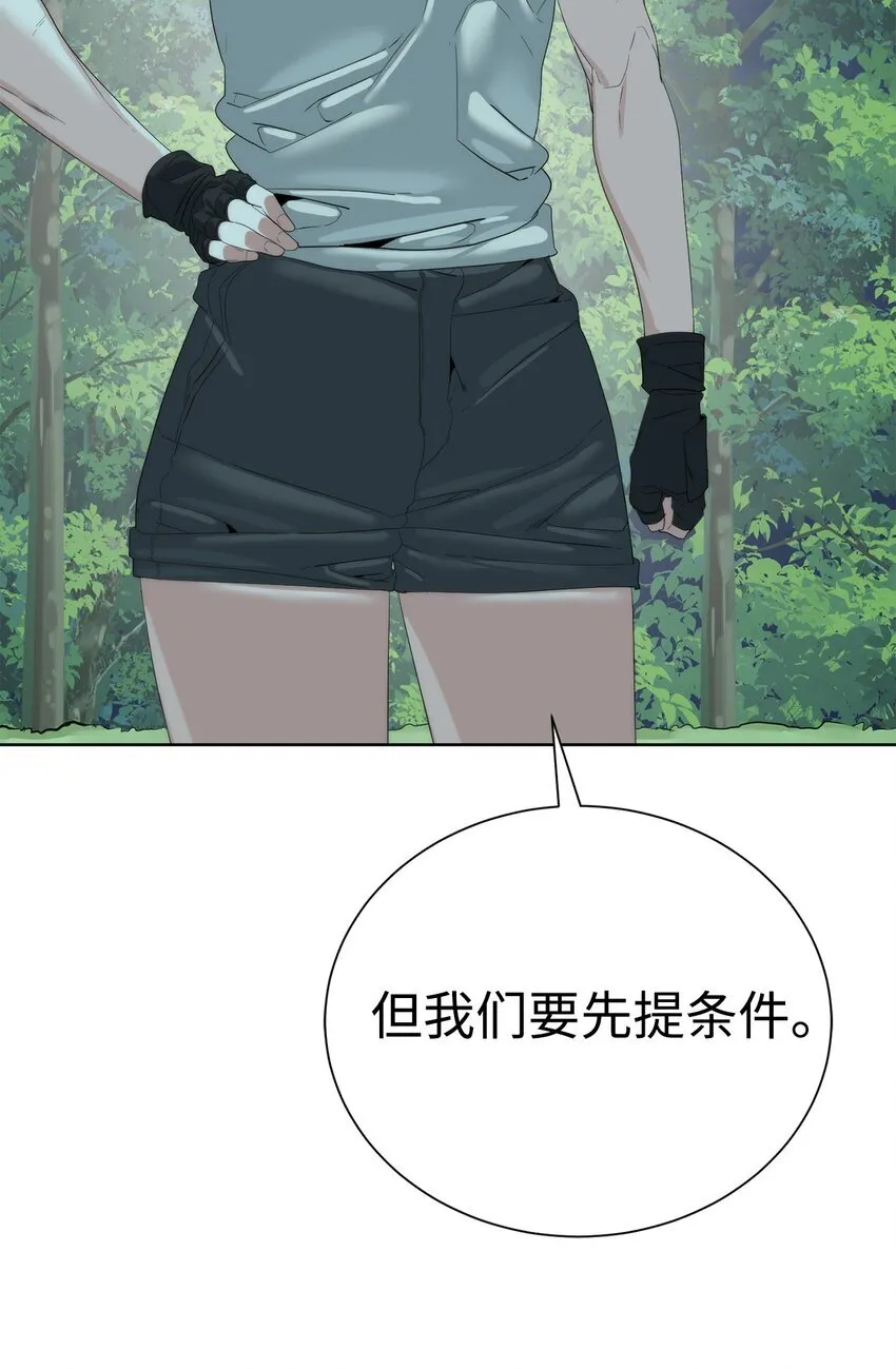 66 提出条件27