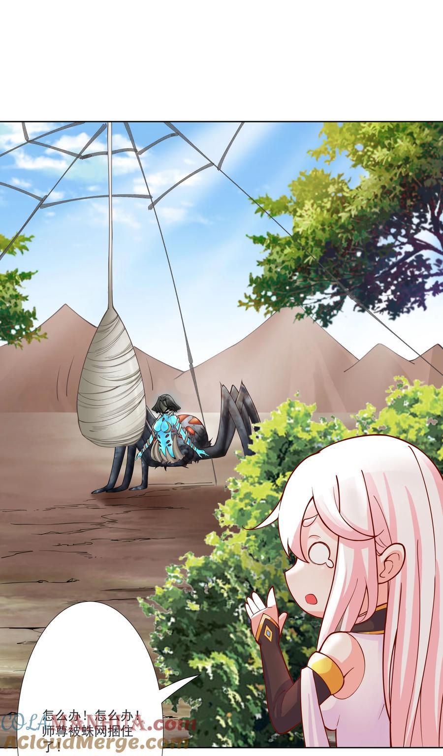16 青莲独秀！14