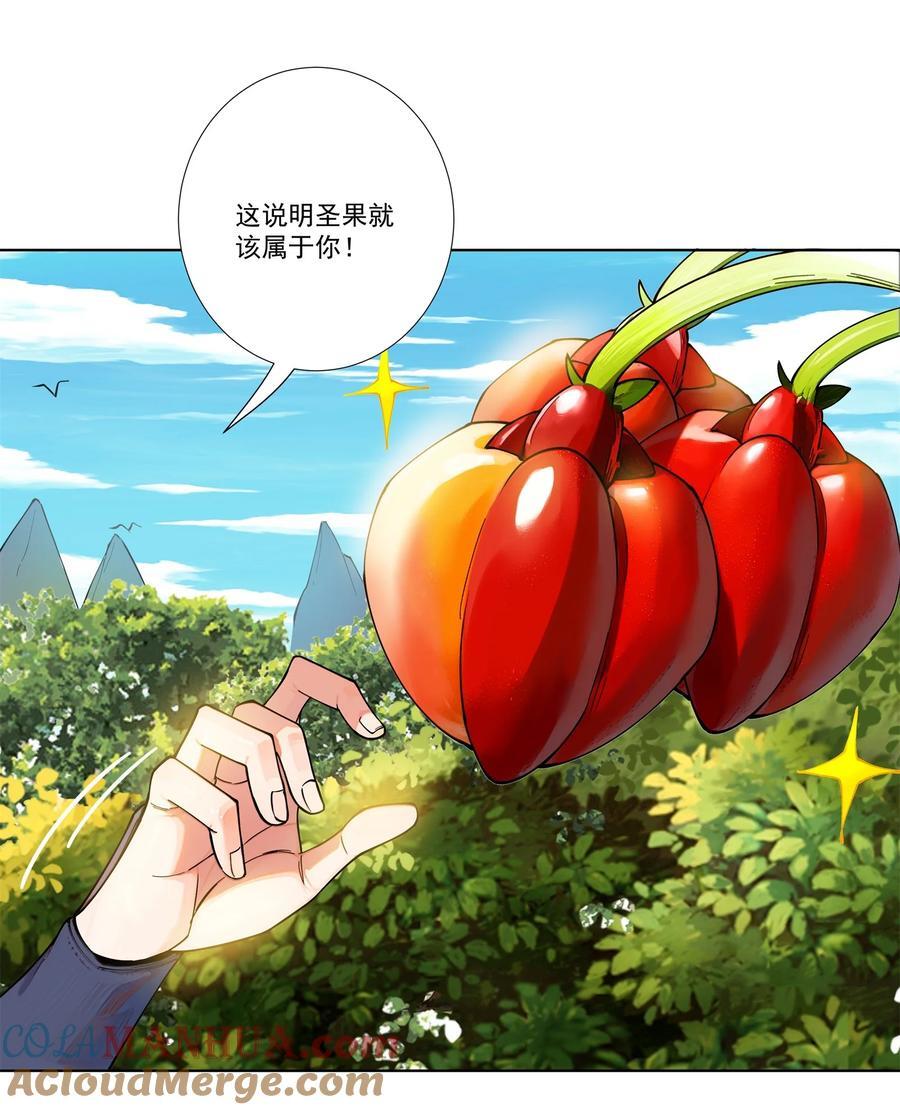 17 半圣vs半圣4