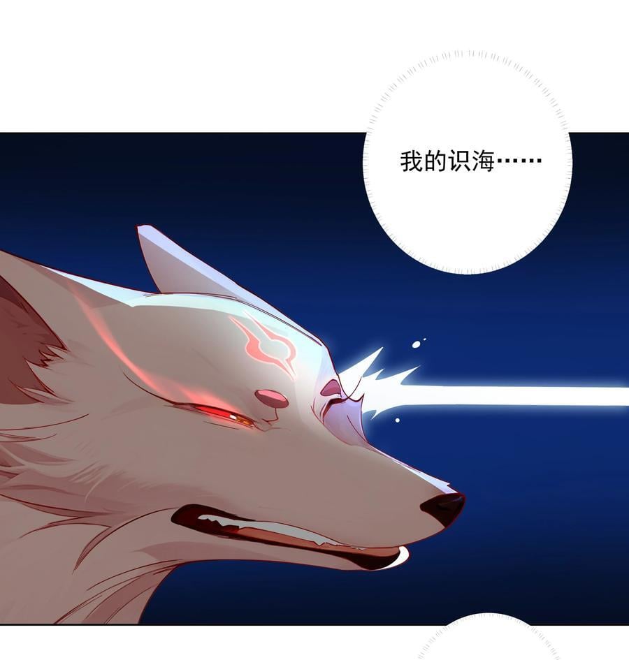 20 捡个小菜狗11