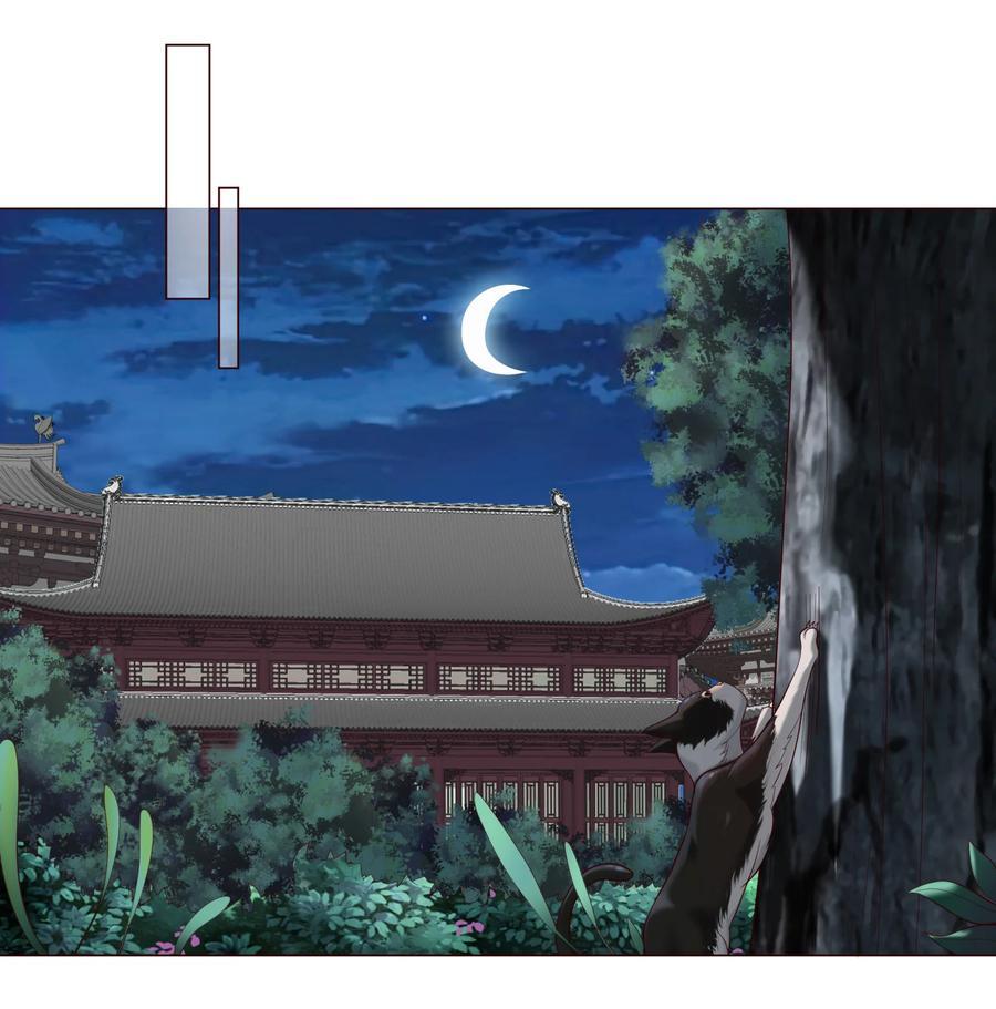 06 妖皇丹62