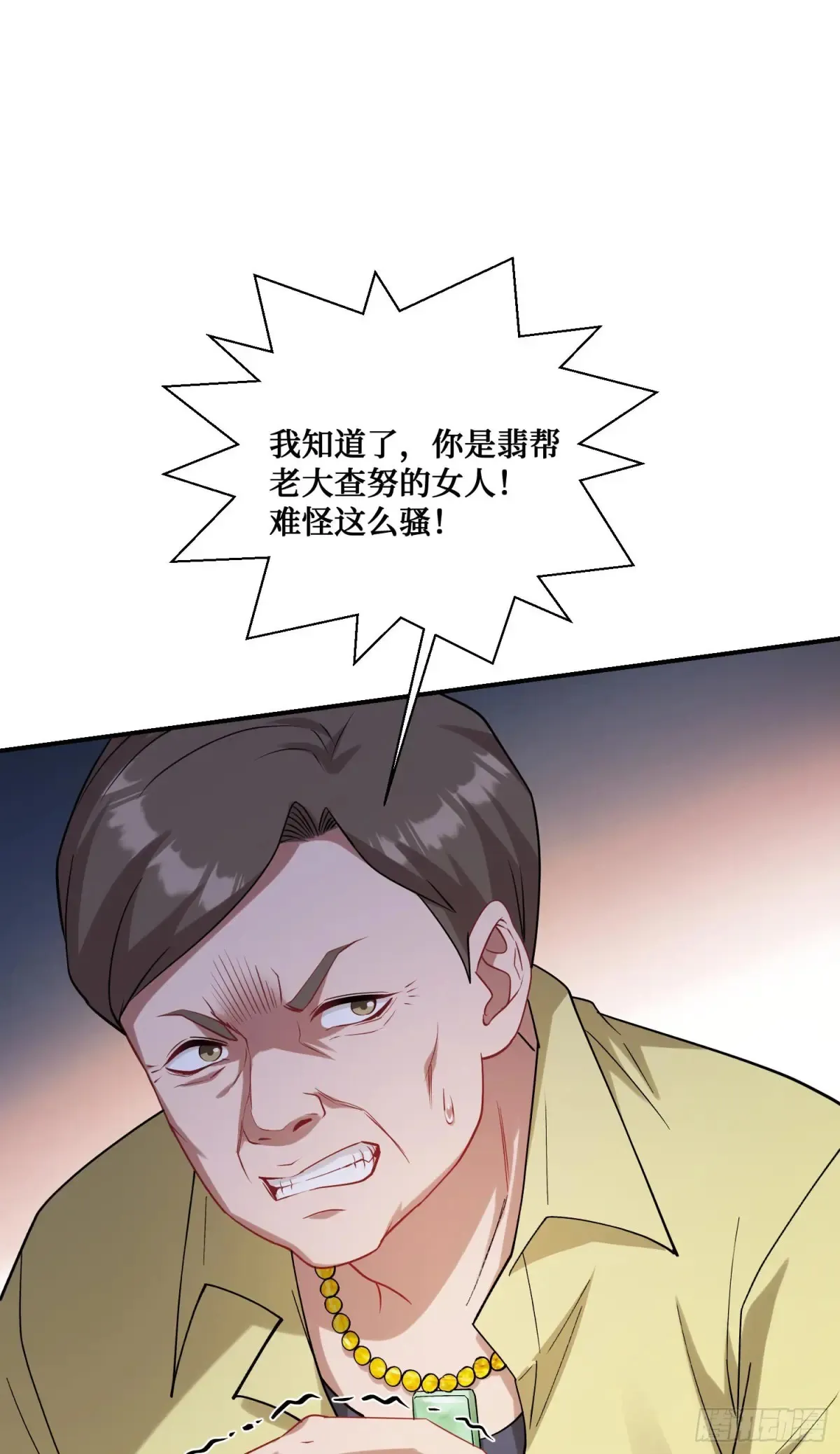 第74话：缅国之旅47