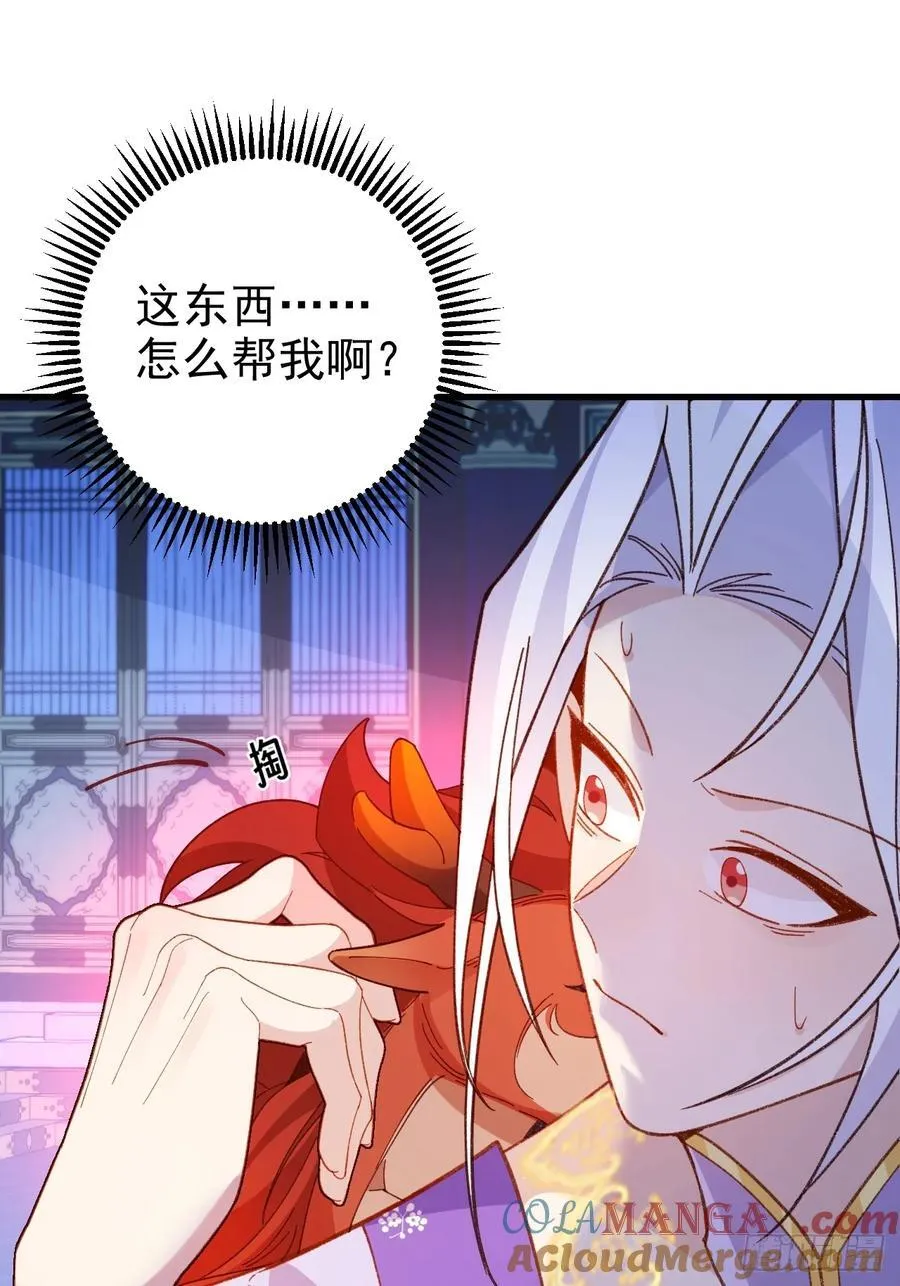96-圆宝，加油啊69