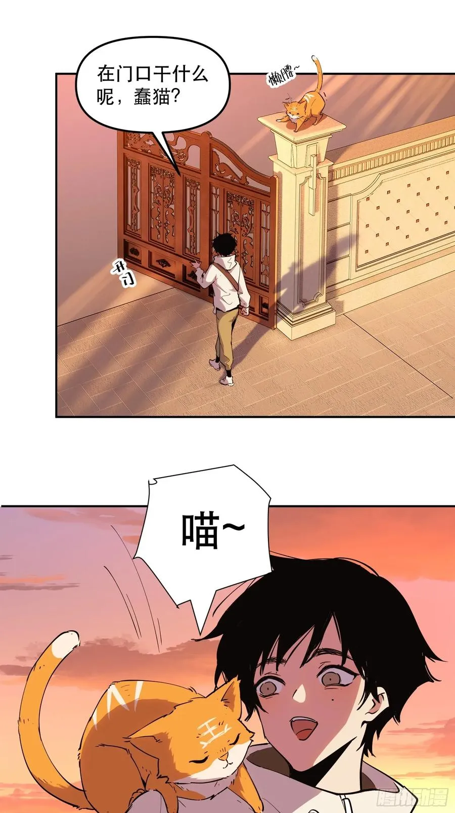 25-强力猫猫也有苦25