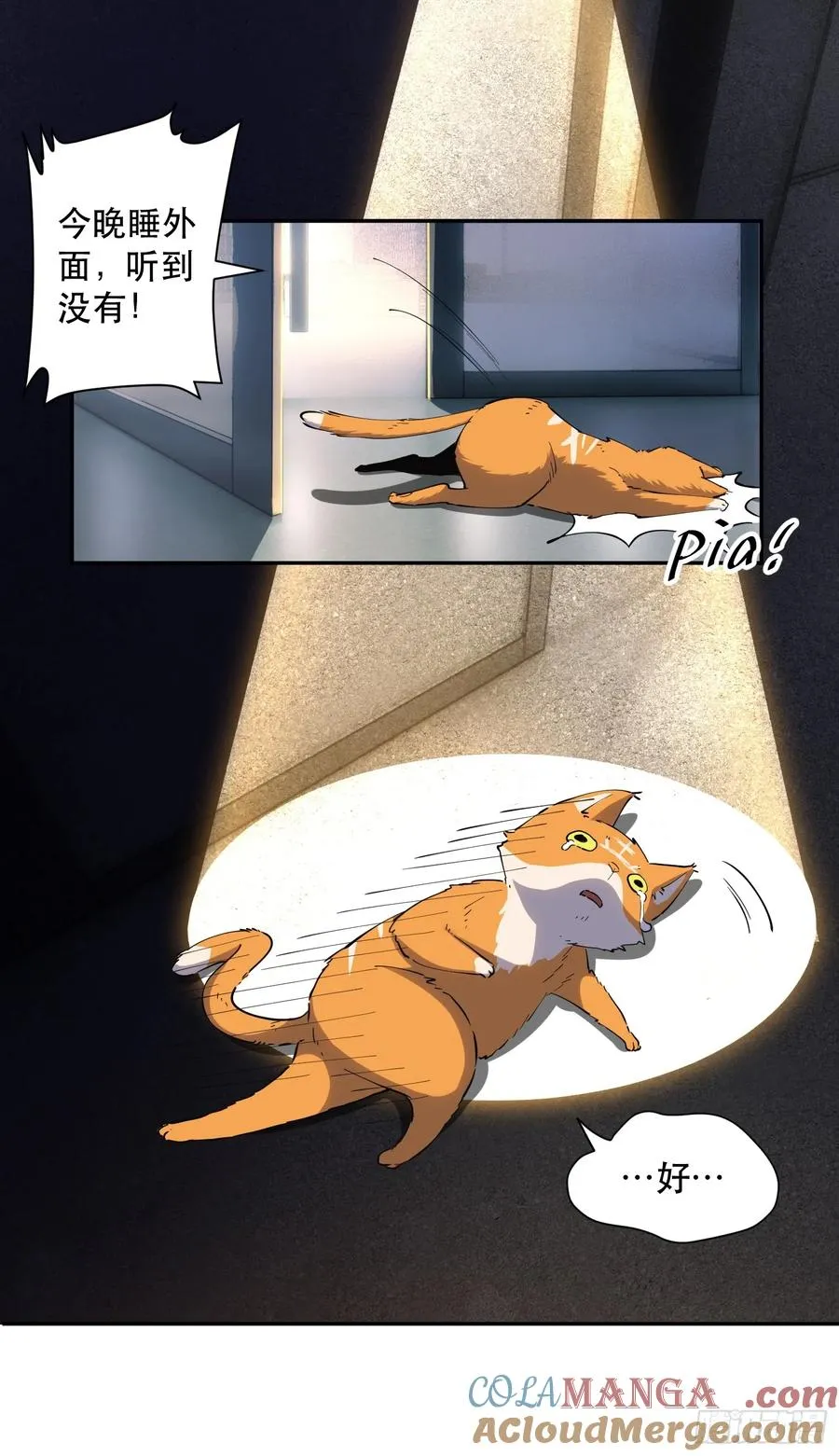 25-强力猫猫也有苦30