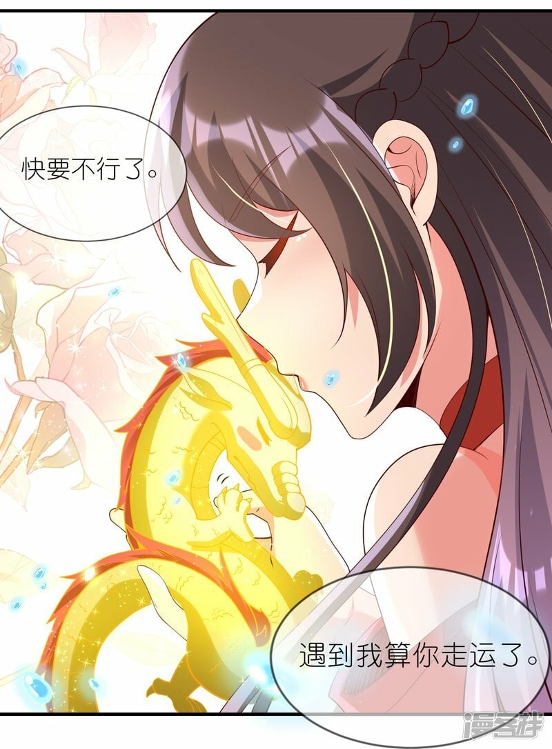 第95话 小金龙11