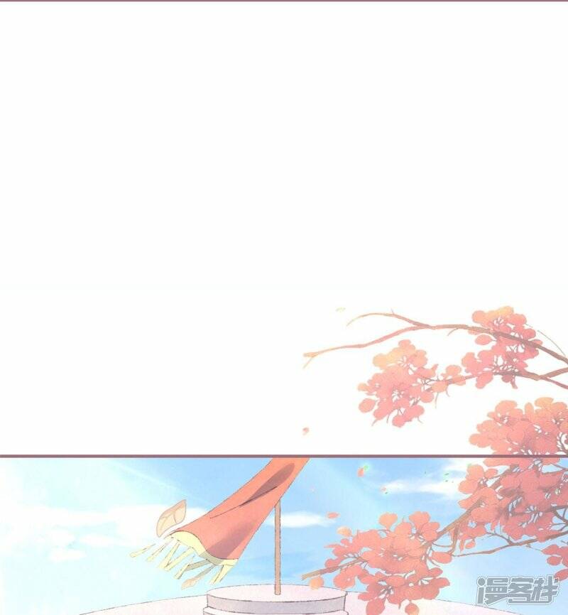第33话 炼药师大赛开始（上）13