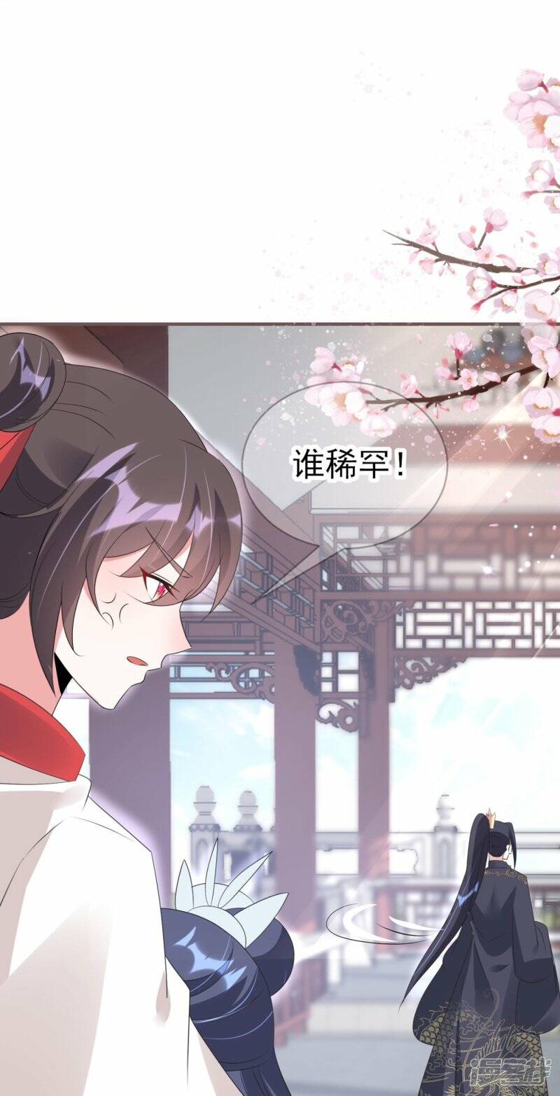 第52话 她逃，他追!35