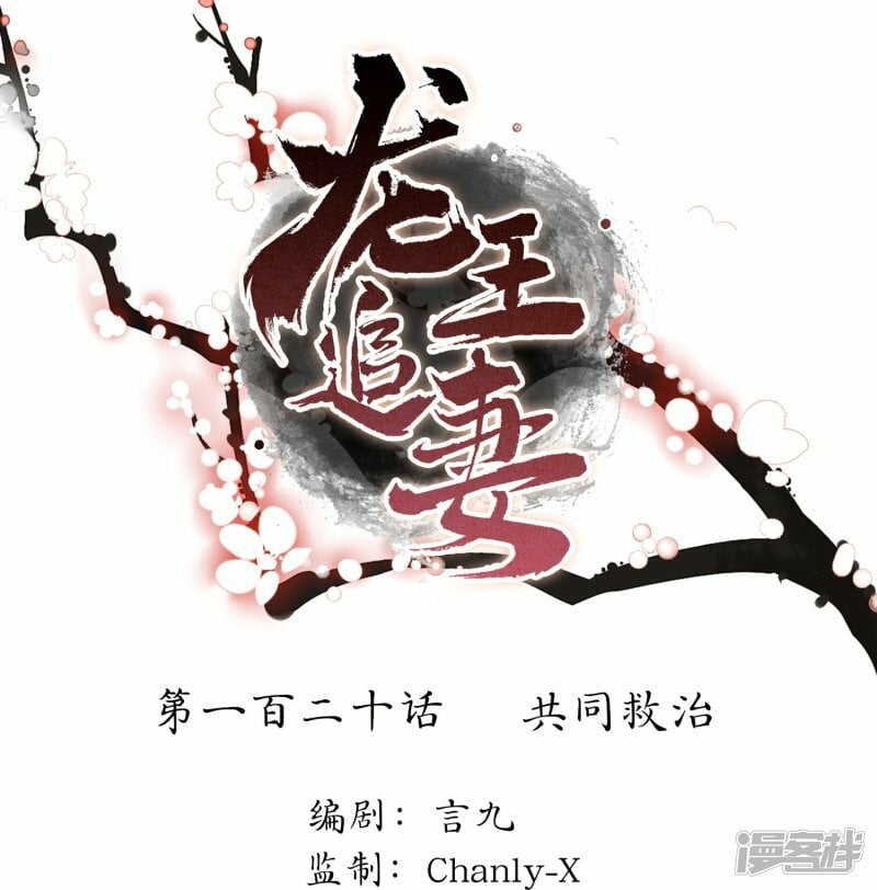 第120话 共同救治0