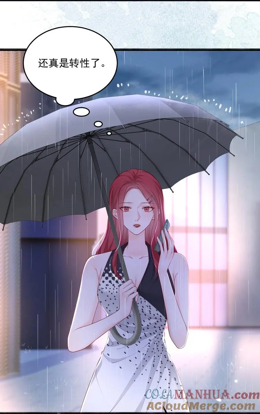 067 被雨淋湿的小狗10