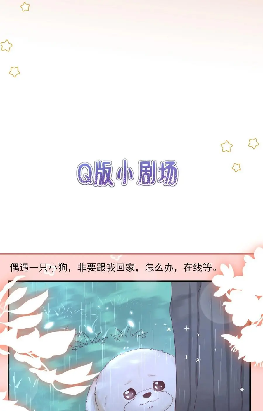 067 被雨淋湿的小狗25