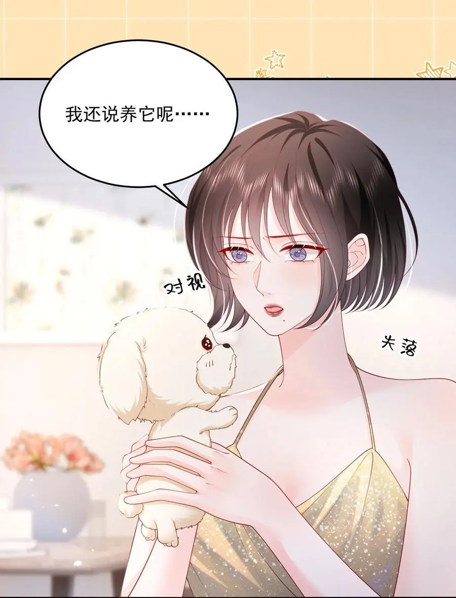 067 被雨淋湿的小狗21