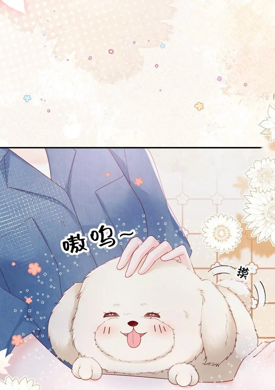 068 养狗啦19