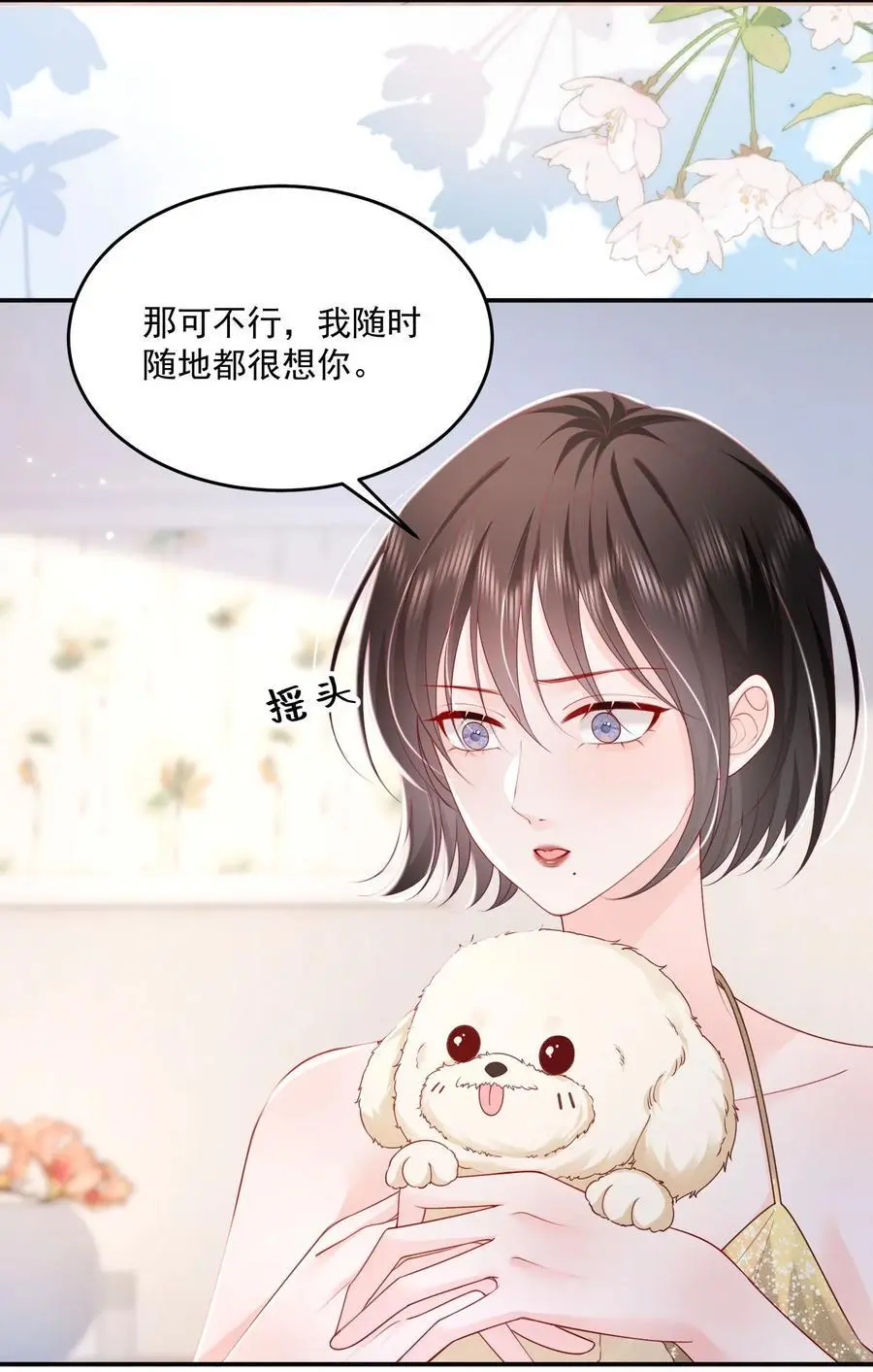 067 被雨淋湿的小狗23
