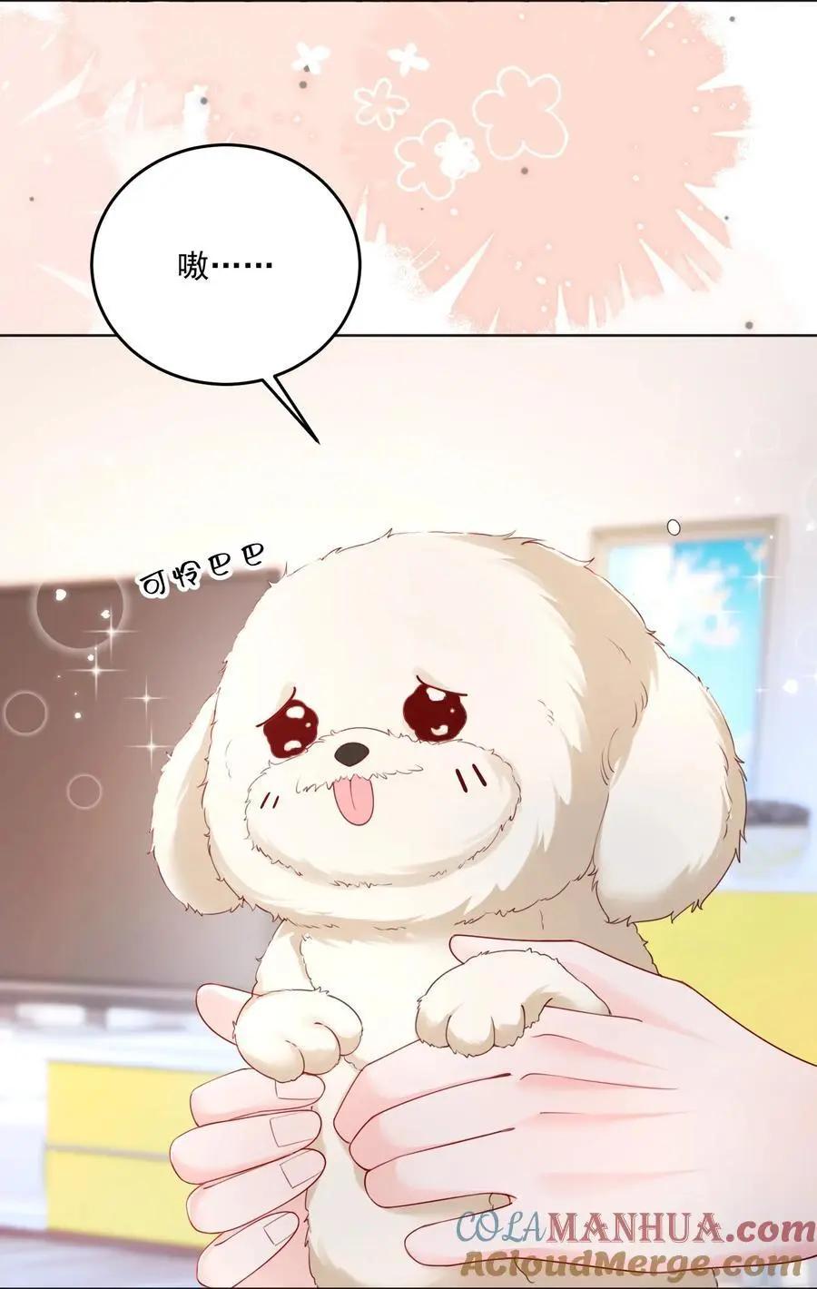 067 被雨淋湿的小狗18
