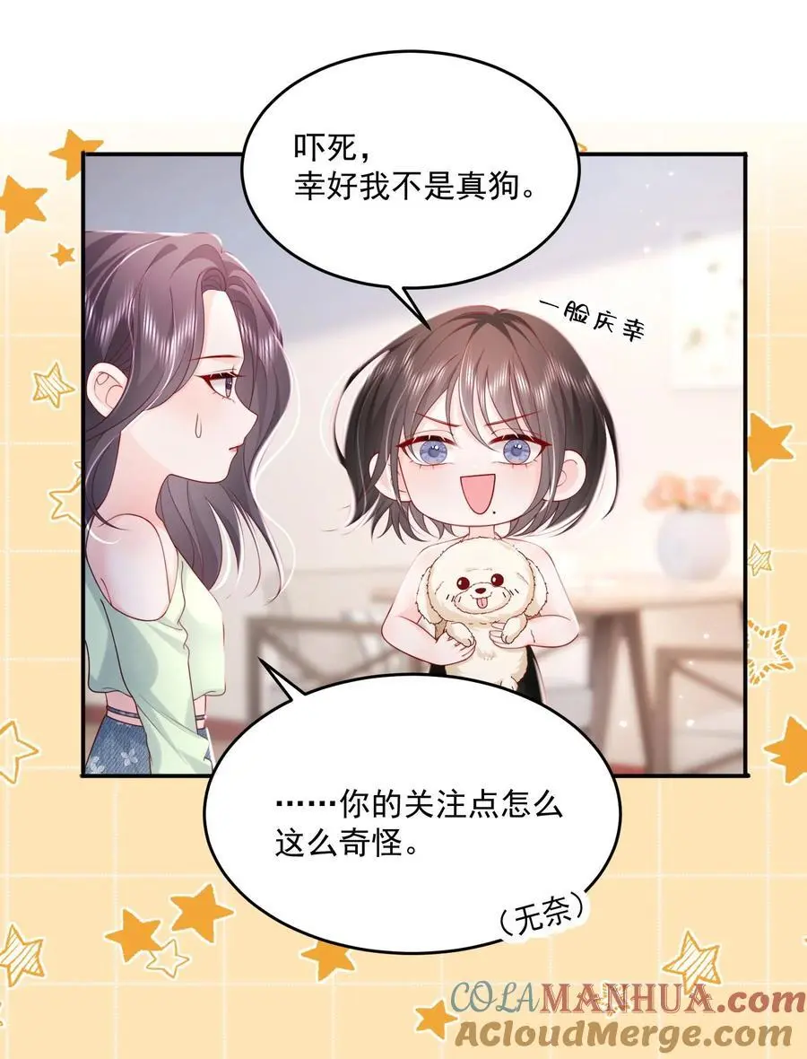 067 被雨淋湿的小狗20