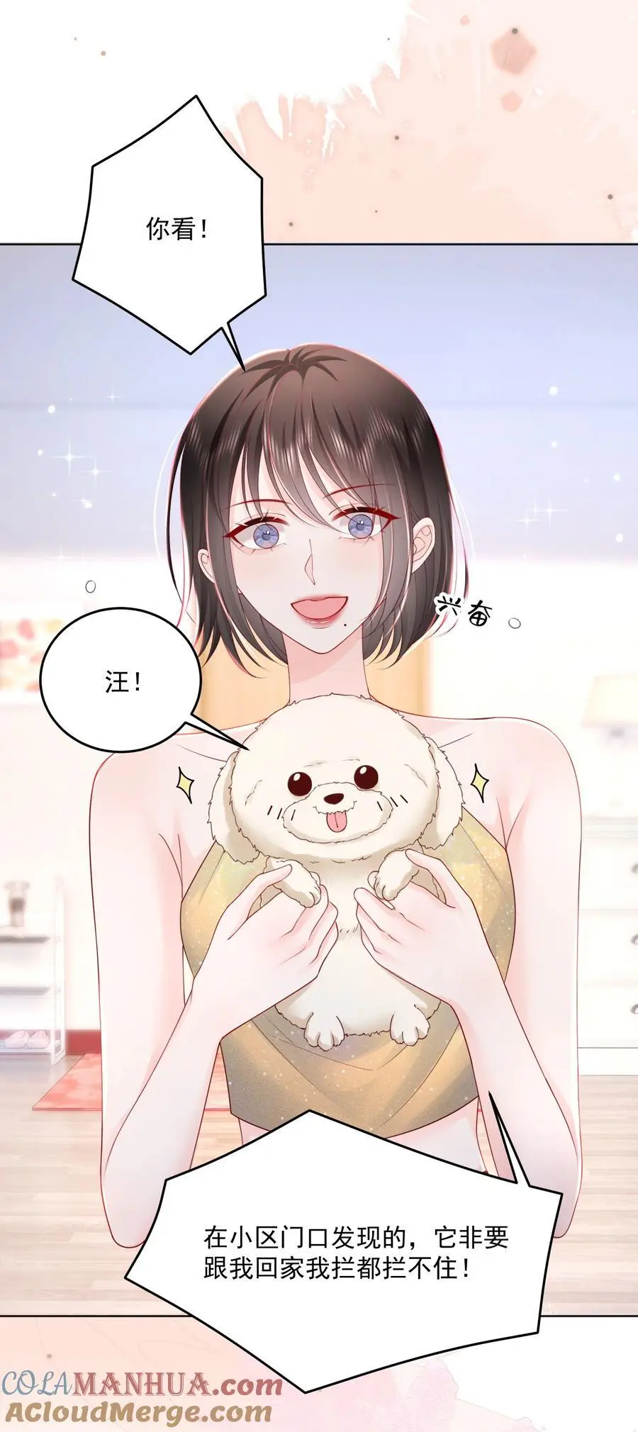 067 被雨淋湿的小狗16