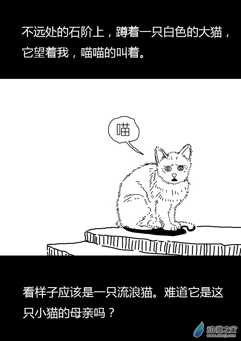 第167话4