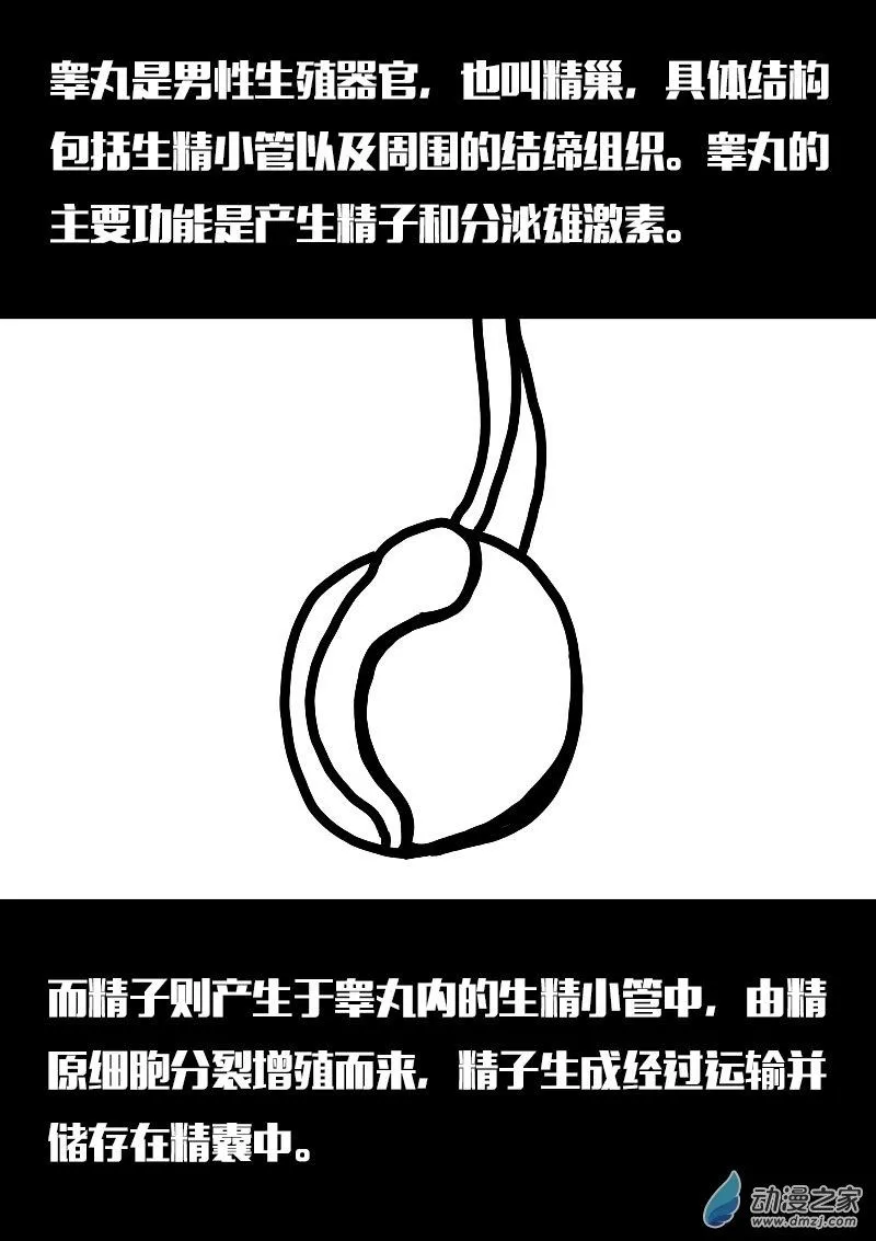 第555话1
