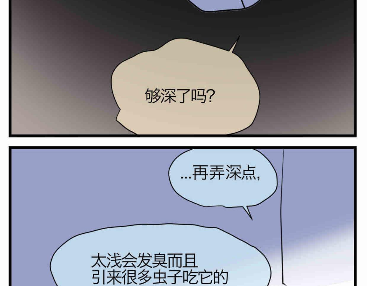 114.小鸡的死因17