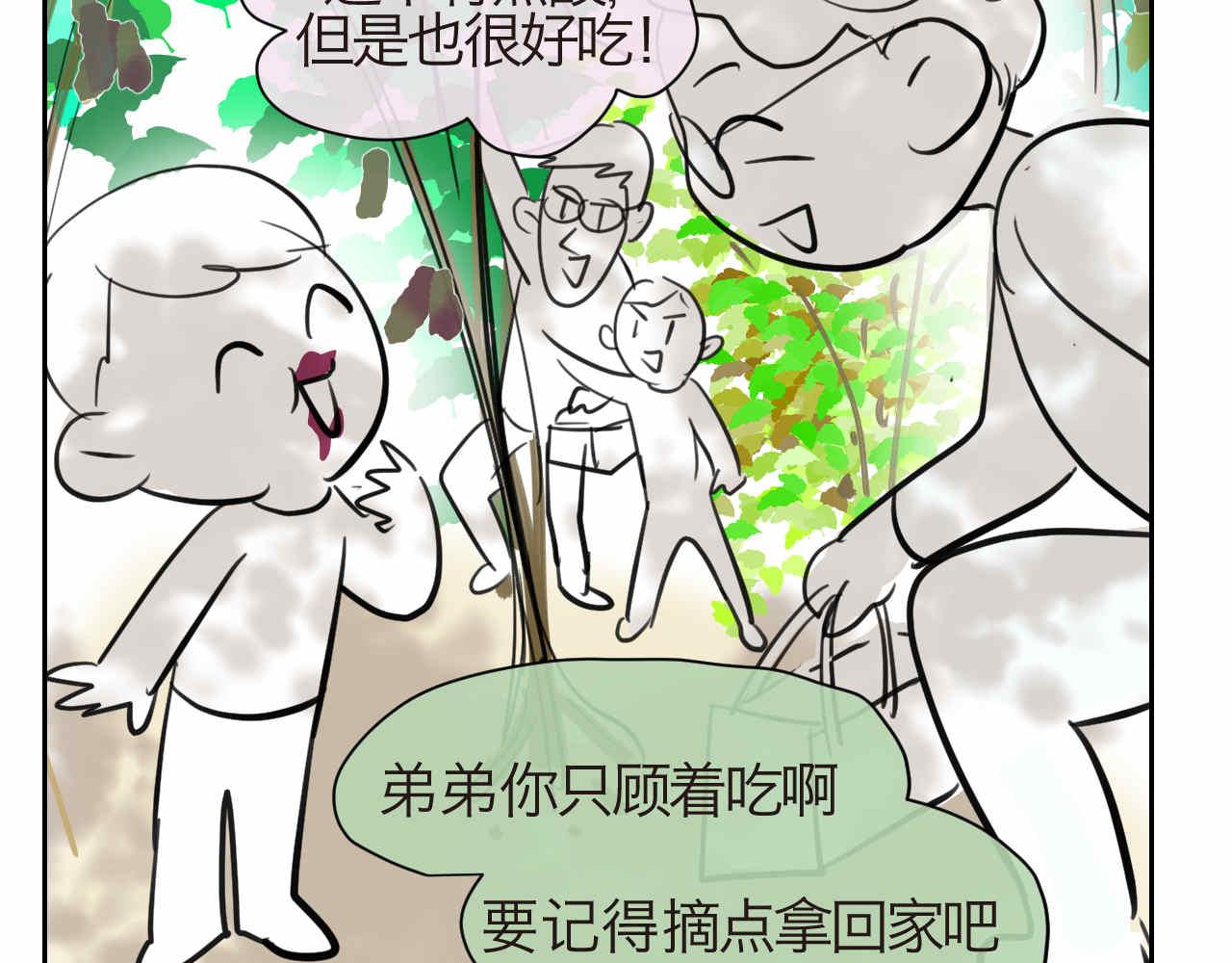 35.桑果园3