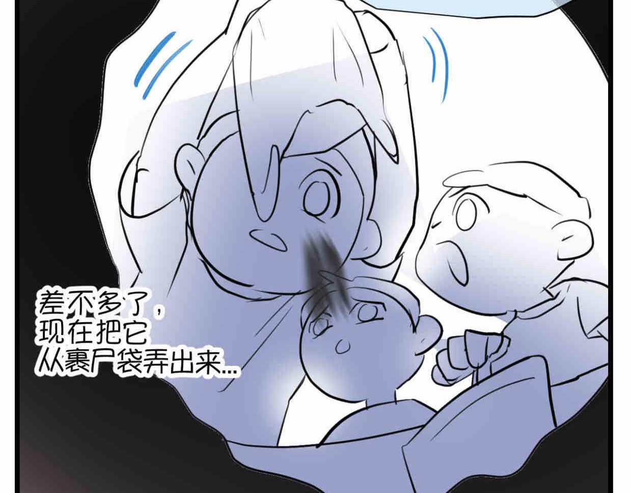 114.小鸡的死因16